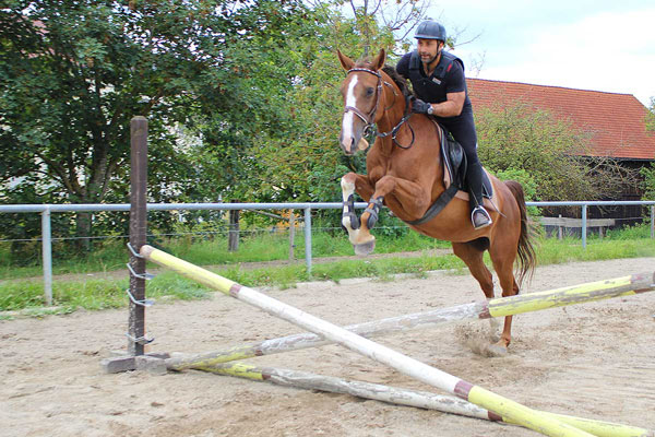 Sportverletzungen Schwierige Knochenbruchheilung